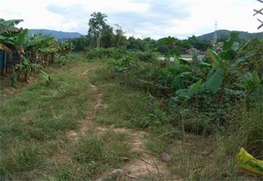 磨憨镇生活污水处理工程