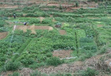 昆明市五华区西翥街道办事处新民村污水治理工程