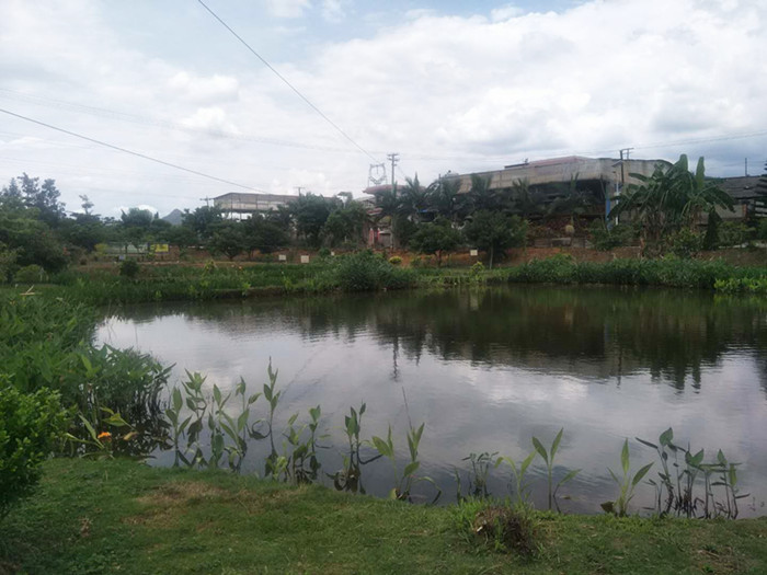 双江县勐库华侨管理区华侨社区农村环境综合整治项目